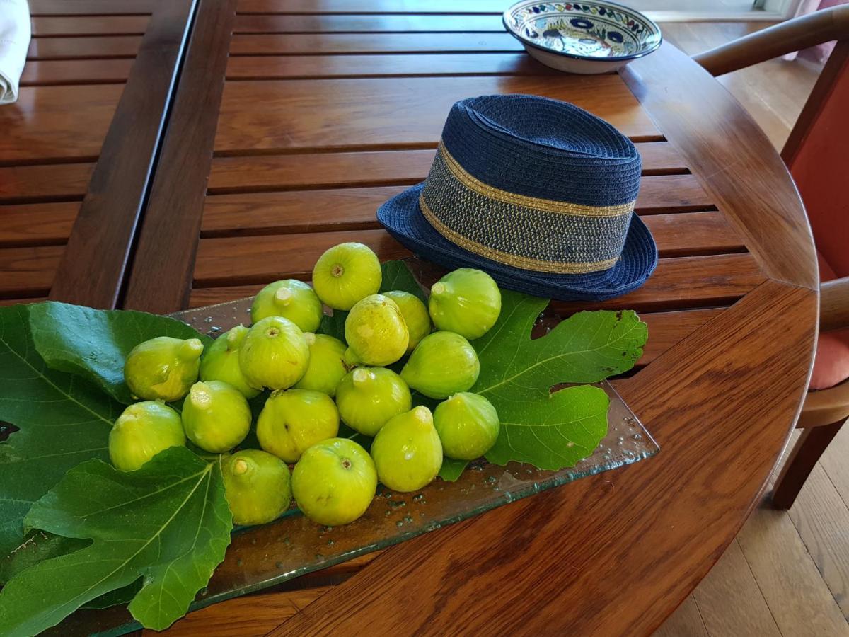 Gite L'Appart De Case Vanille Sari-Solenzara Exteriör bild